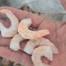 青虾仁红虾仁混装虾仁新到71*90红虾仁纯干