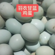 羽衣甘蓝土鸡蛋
