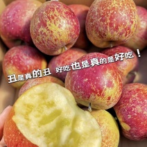 昭通丑苹果2001冰糖心苹果承接电商电商档口代发全国