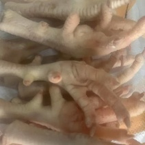 种鸡爪