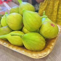 广东本地芭劳奈无花果产地直销，一手货源，可一件代发