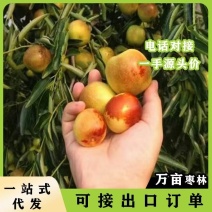 可供出口电商社区团购美团多多旅游赠品基地现摘现发