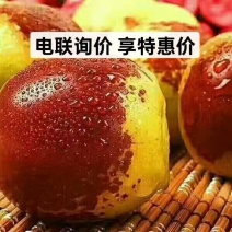 脆甜爽口鲜脆枣陆地鲜冬枣大量上市基地一手货源手摘精选