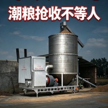 10吨粮食烘干机种粮大户粮食收购适用可移动