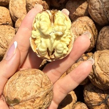 大凉山纸皮核桃饱满品质保障大量有货价格实惠