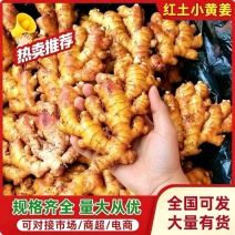 【红土小黄姜】常年有货/规格齐全/坏烂包赔/可全国发货