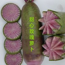 正宗甜心玫瑰萝卜大量种植上市