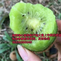 绿心猕猴桃产地精品货源（电商，市场）产地直供