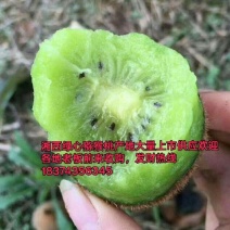 米良一号绿心猕猴桃（电商，社区，超市，市场）产地直供