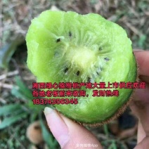 米良一号湖南湘西凤凰县绿心猕猴桃（电商，社区超市，市场）