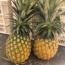 凤梨