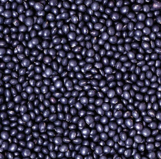 展示黑豆豆浆制作的甜品,如布丁或豆腐,摆盘精美 黑豆豆浆甜品