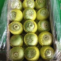 西梅